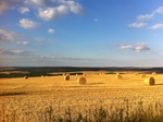 September-Ausflug mit Hund