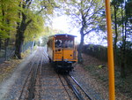 Hunde auf Nerobergbahn-Tour