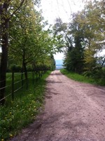 Ein bezaubernder Rheingau-Ausflug mit Hund