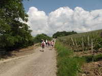 Auf geht´s zu unserer Weinwanderung mit Hund