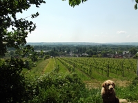 Ausblick schön und gut, aber ich hab Durst