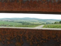 Herrliche Aussichten im Rheingau