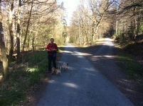 Hundewandern im Taunus