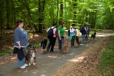 Und Kopfarbeit für den Hund gibt´s auch noch