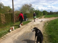 Ein kleiner Hundeurlaub im Rheingau